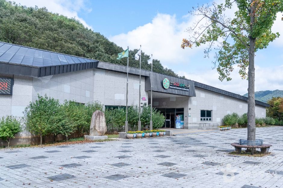 보령 무궁화수목원