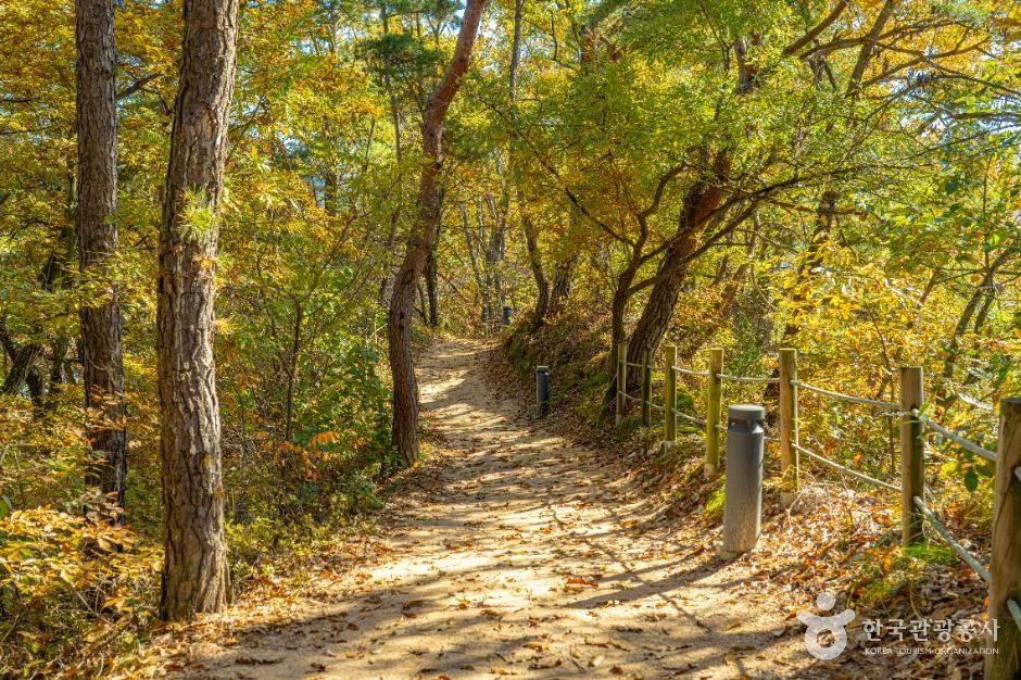 영동_양산팔경 금강둘레길 (9)