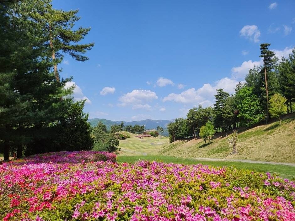 블랙밸리 컨트리클럽