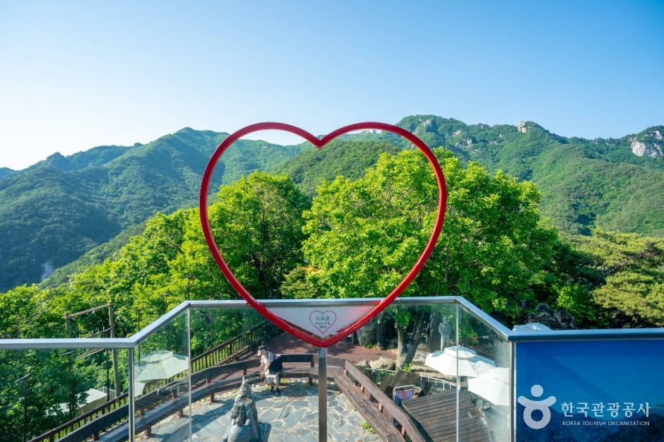 대구_팔공산 케이블카 (6)