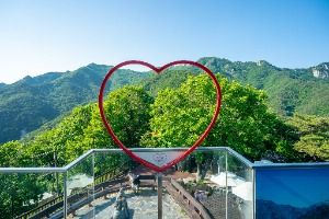 대구_팔공산 케이블카 (6)