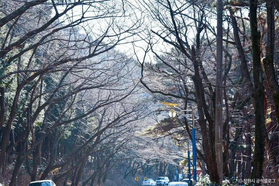 창원 편백 치유의 숲