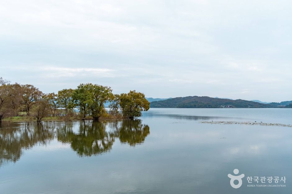 탑정호 수변생태공원