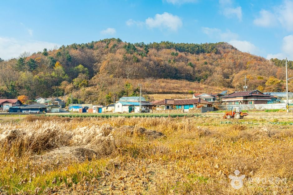 원연장 꽃잔디마을