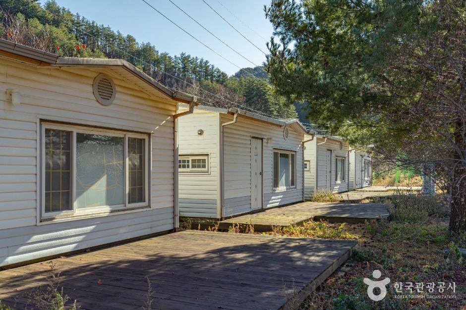 thumbnail-삼척 가시오가피마을-3