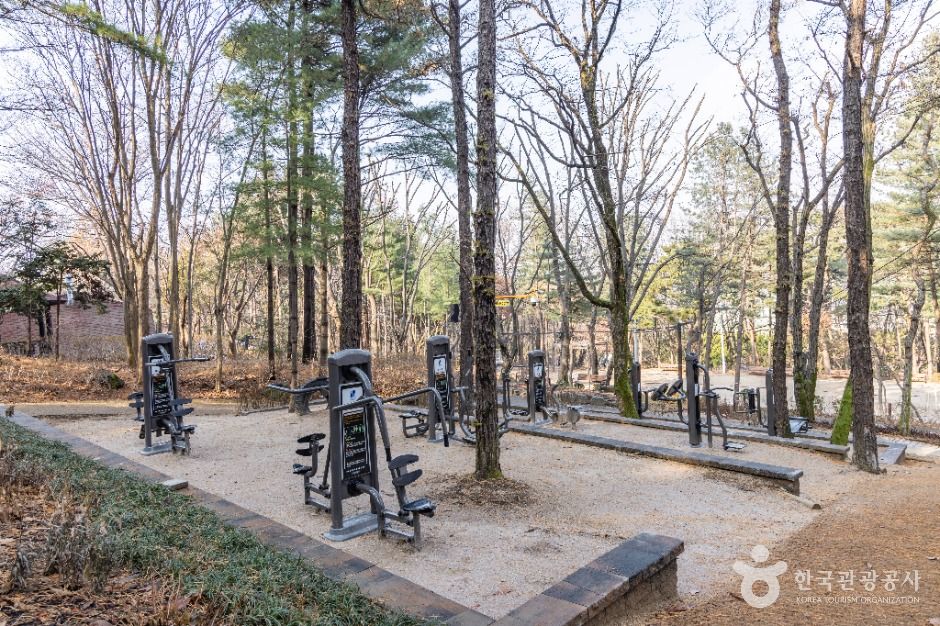 thumbnail-대모산도시자연공원-13