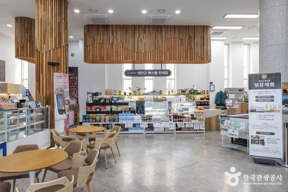 thumbnail-영목항 전망대-7