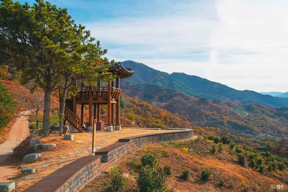 thumbnail-정금차밭-11