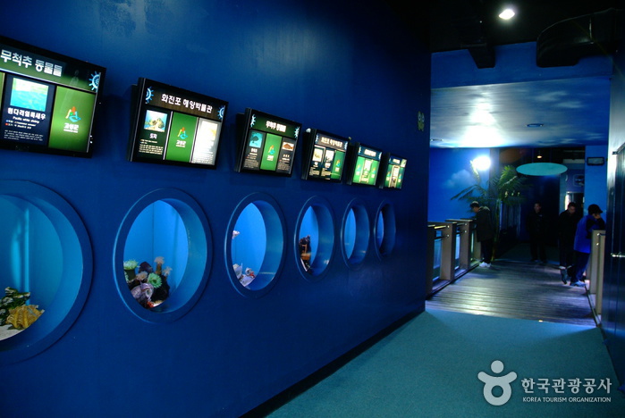 花津浦海洋博物館（화진포 해양박물관）