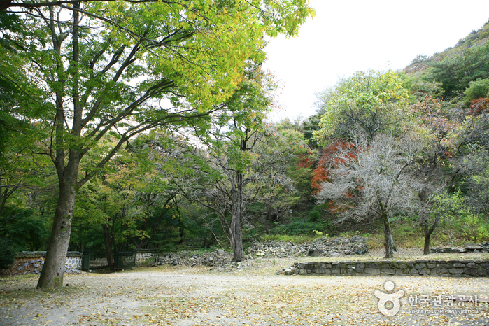 내장산국립공원 사진21