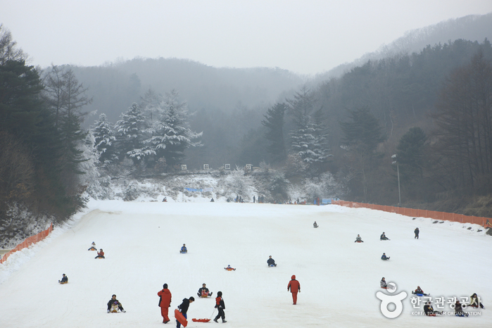 Pista para Trineos de Hanhwa Resort en Yangpyeong (양평한화리조트 눈썰매장)