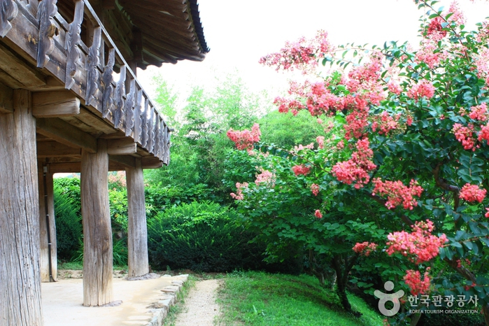 Andong Hahoe Village [UNESCO World Heritage] (안동 하회마을)