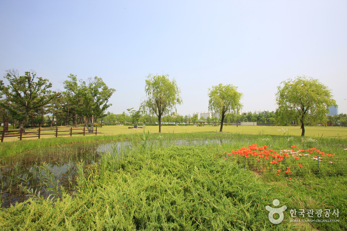Hanbat Arboretum (한밭수목원)