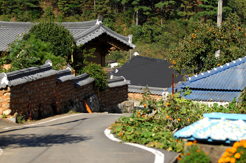 도선 이미지