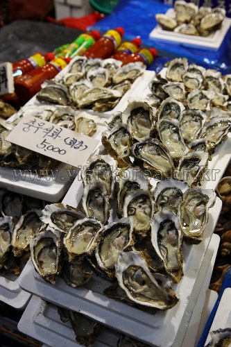 Noryangjin Fisheries Wholesale Market (노량진수산시장)