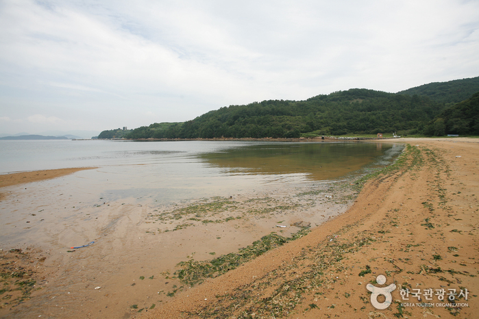Hwangpo Beach (황포해수욕장)