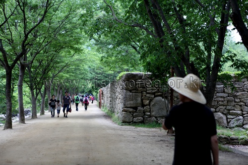 문경새재도립공원 사진31