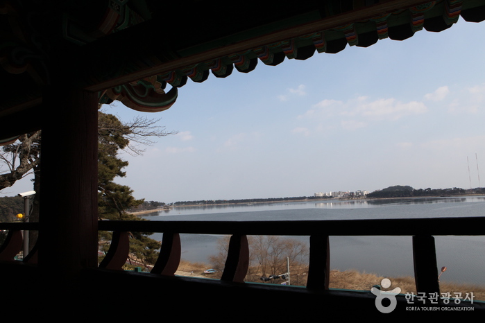 강릉 경포대 사진10