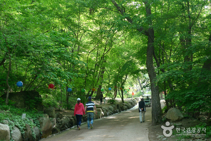 양평 친환경농업박물관5