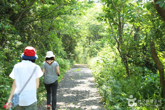 [제주올레 21코스] 하도-종달올레2