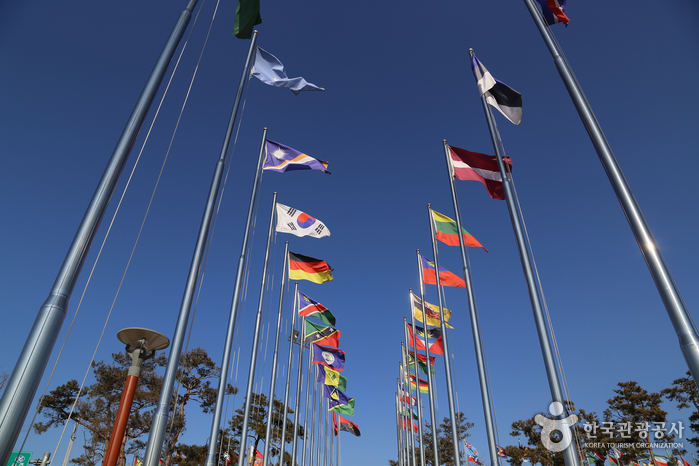 UN 회원국들의 국기 게양대