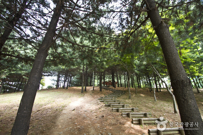 갈미한글공원 등산로 입구