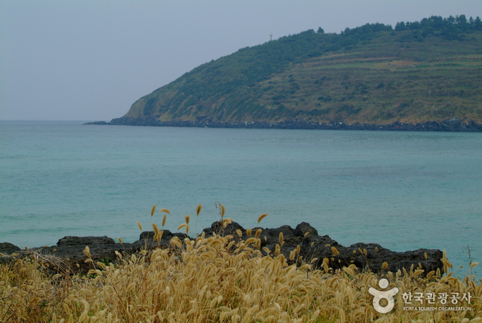 [제주올레 19코스] 조천-김녕 올레1