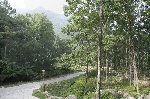 La forêt récréative naturelle Biseulsan (비슬산자연휴양림)