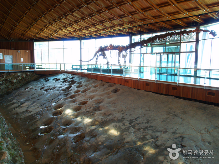 Musée des dinosaures à Haenam (해남공룡박물관)