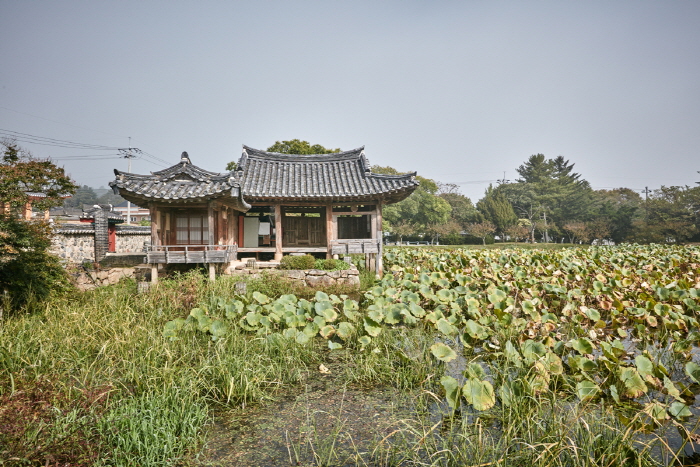 thumbnail-Seochulji Pond in Gyeongju (Lotus Flower) (경주 서출지)-6