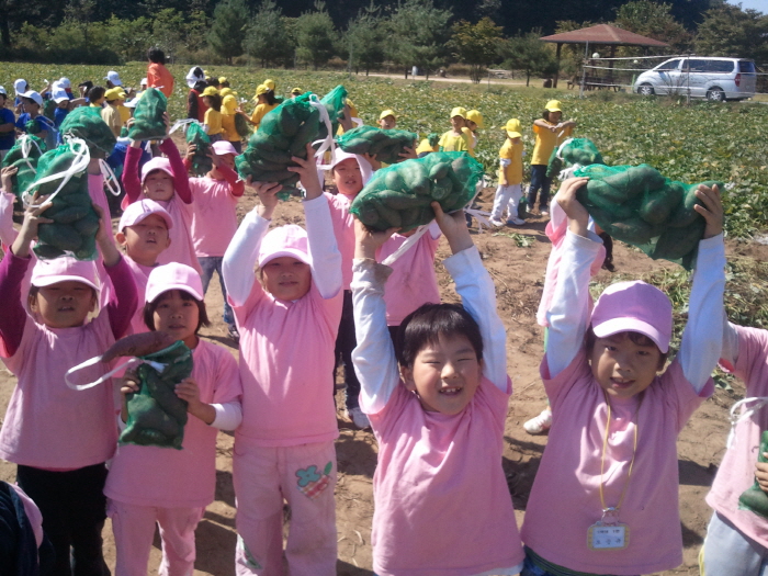 양평 몽땅구이축제 20190