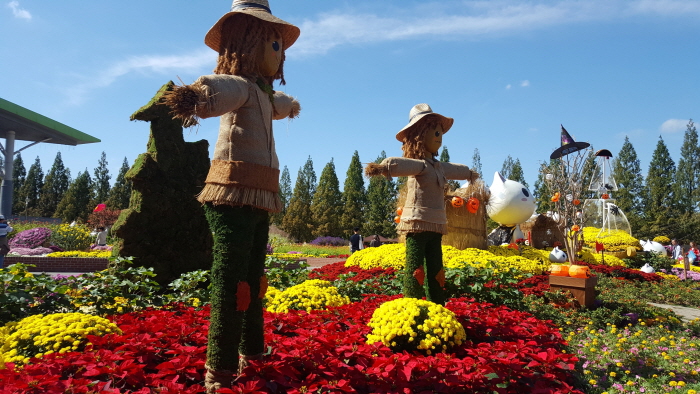 Festival de las Flores de Otoño de Goyang (고양가을꽃축제)
