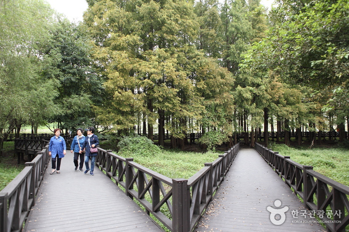 Gwangjuho Lake Eco Park (광주호 호수생태원)5