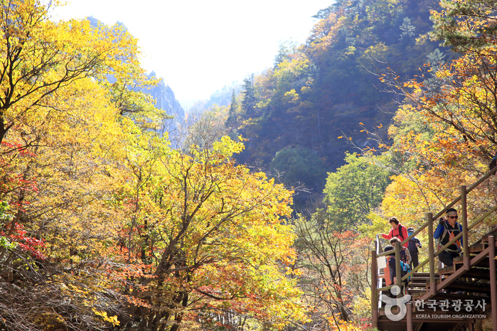 Seoraksan National Park (Outer Section) (설악산 국립공원 (외설악))