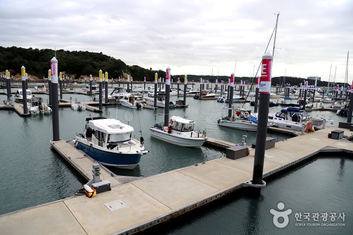 thumbnail-왕산마리나-3