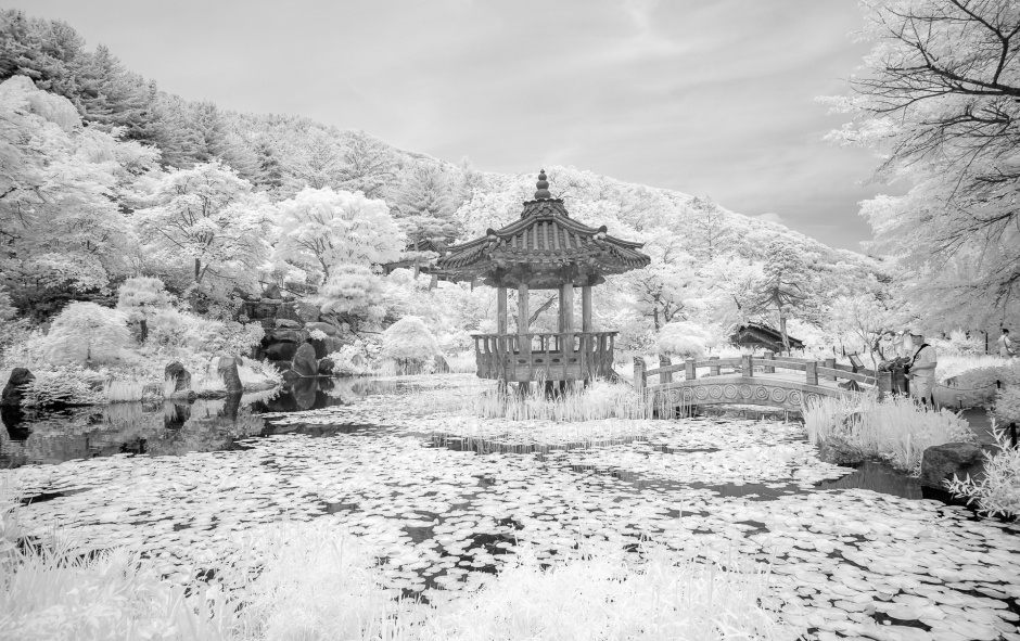 아침고요수목원