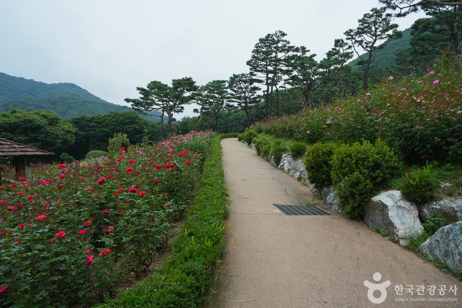 Gyeyangsan Mountain Trail (계양산둘레길)