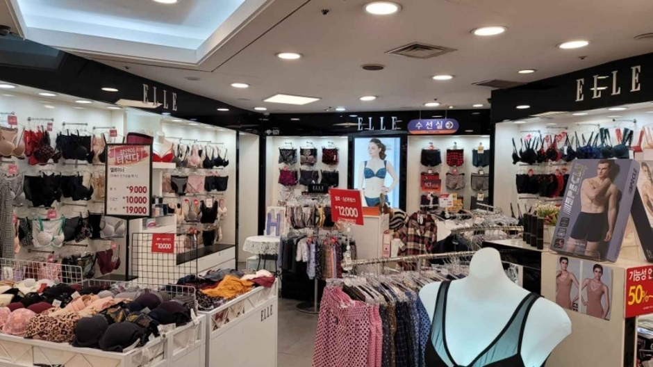 Elle Innerwear [Tax Refund Shop] (엘르이너웨어)