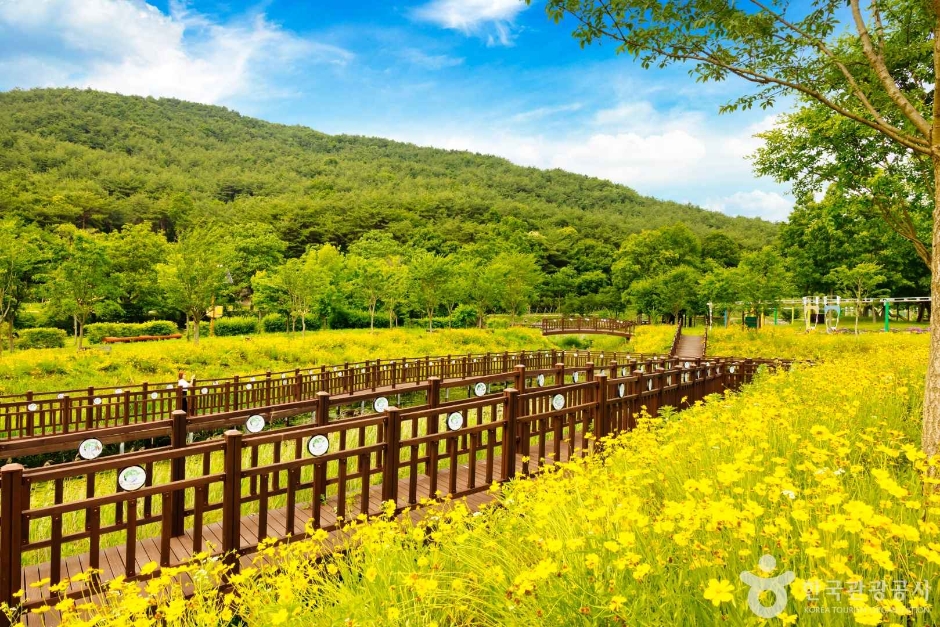 高敞云谷拉姆萨湿地(고창 운곡람사르습지)