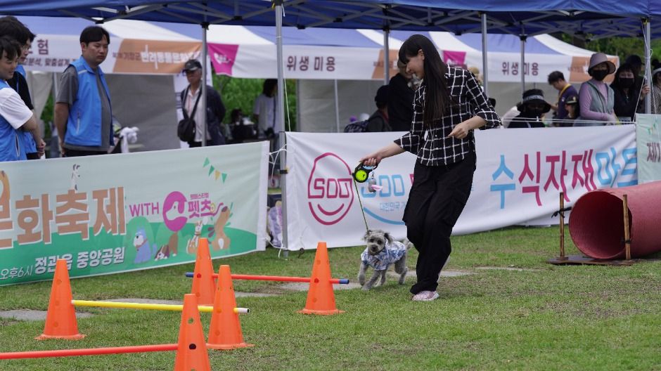 기장군반려동물문화축제