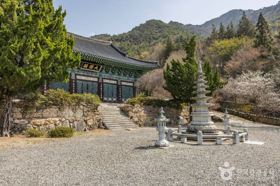 금둔사