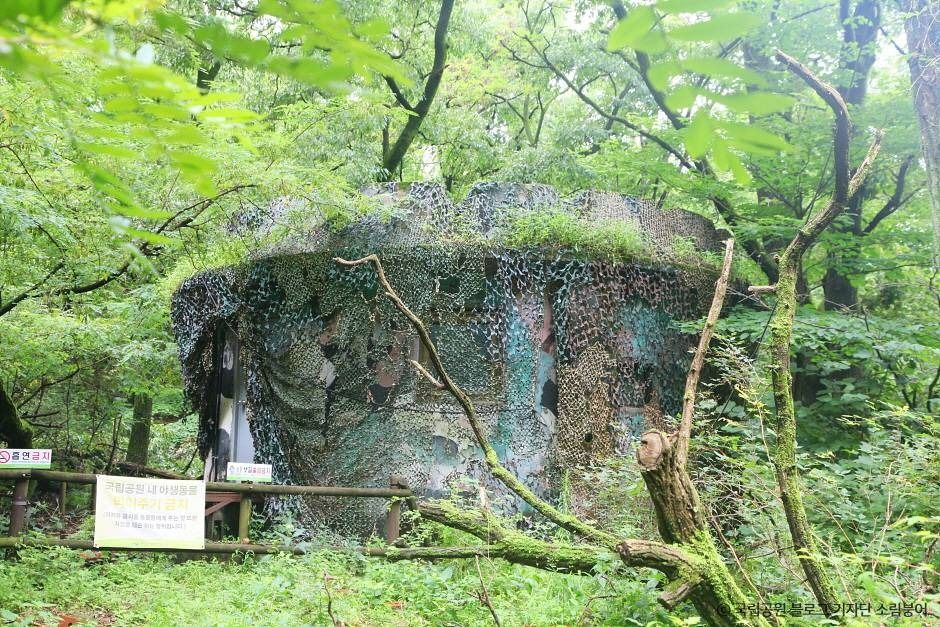 [북한산 둘레길 21구간] 우이령길