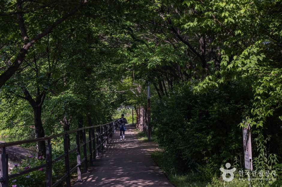 송대공원