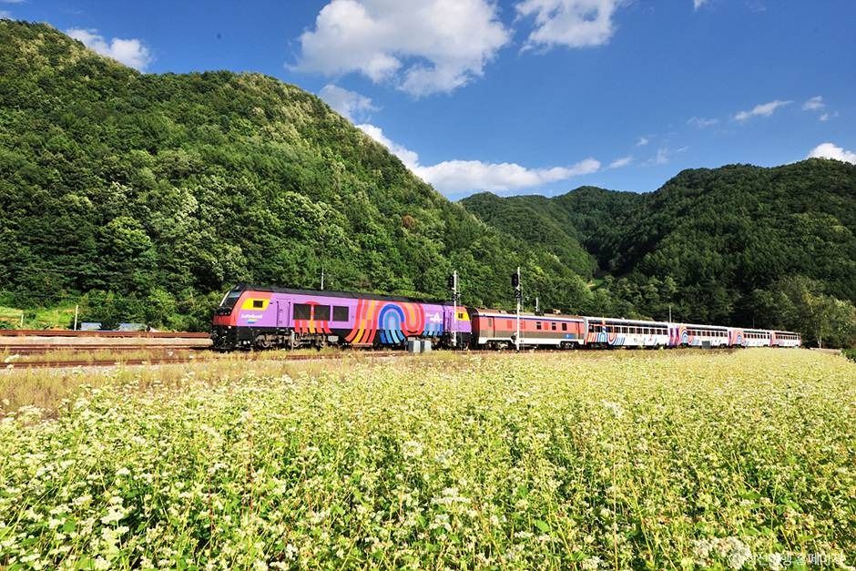 정선아리랑열차(A-train)
