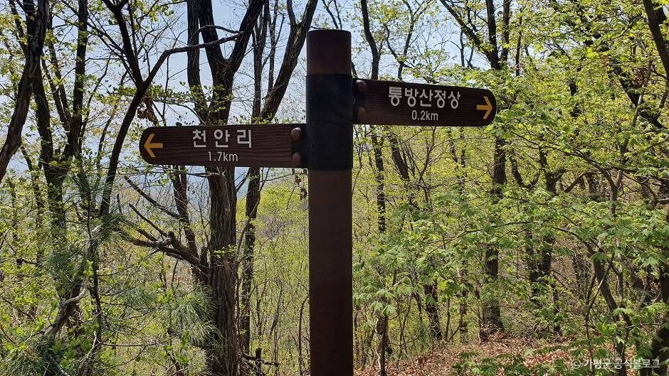통방산