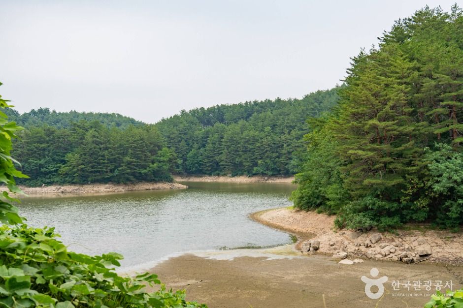 강릉_죽헌저수지 (5)