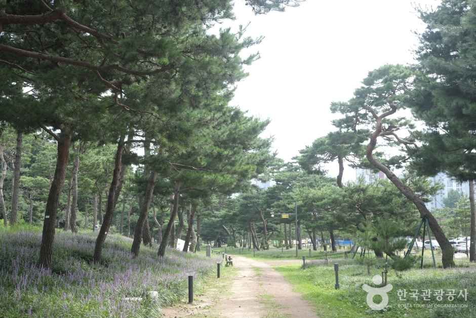 수원 노송공원