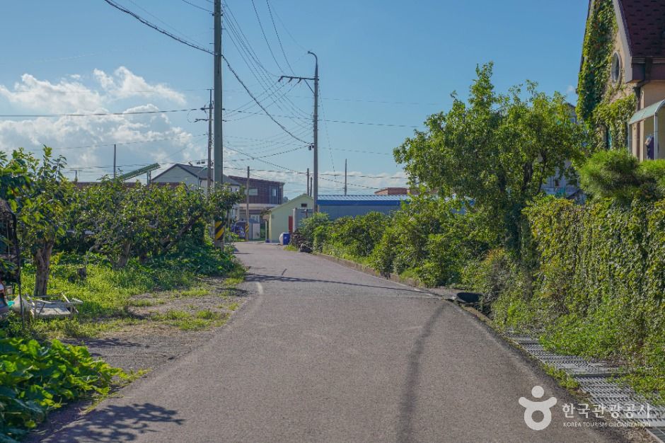 사천 고읍단감마을