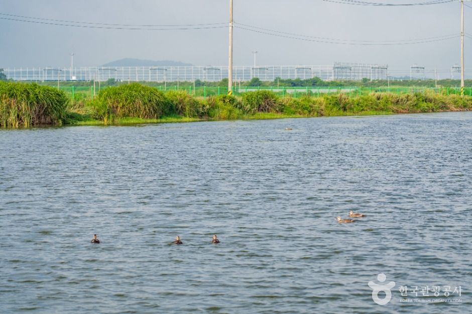 thumbnail-분지섬저수지-11