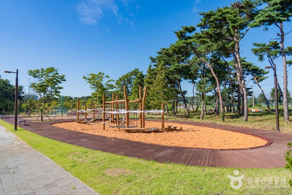 thumbnail-궁평관광지-10